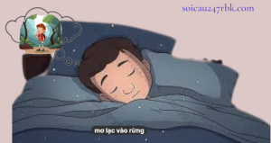 mơ thấy đi lạc vào rừng