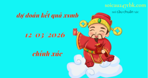 soi cầu 247